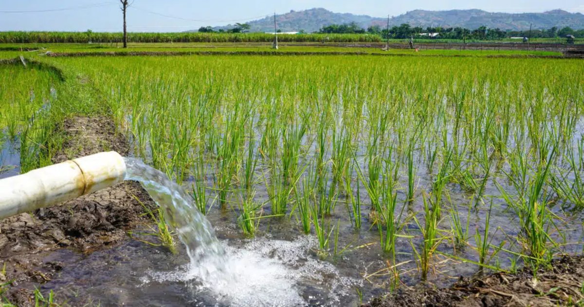 Система орошения — учет воды для субсидий/тарифа (фото)